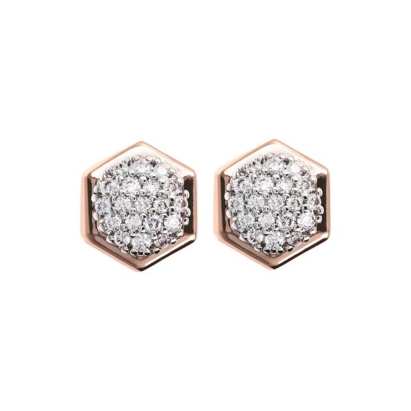 Hexagonal CZ Earrings (WSBZ01572)