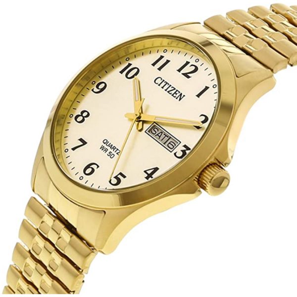 Citizen Men's Gold Quartz Watch (BF5002-99P)