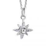 Newbridge Silverware Silver Plated Star Pendant with Clear Stones (P022SR)