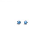 Absolute Jewellery Sterling Silver Birthstone Circle Earrings - December (SE200DEC)