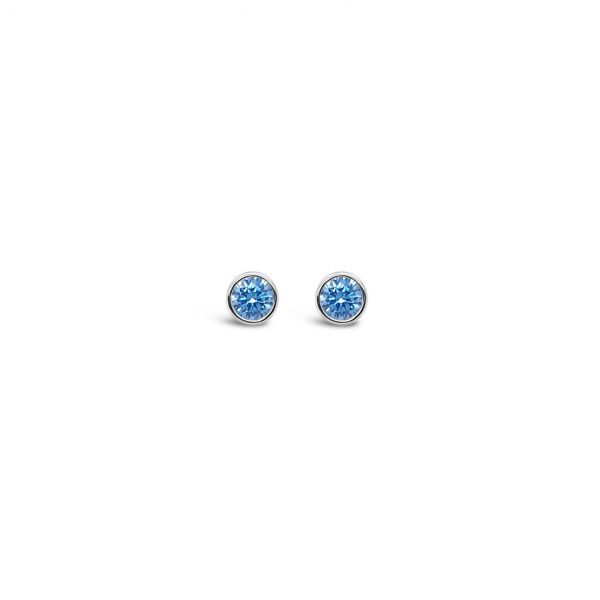 Absolute Jewellery Sterling Silver Birthstone Circle Earrings - December (SE200DEC)