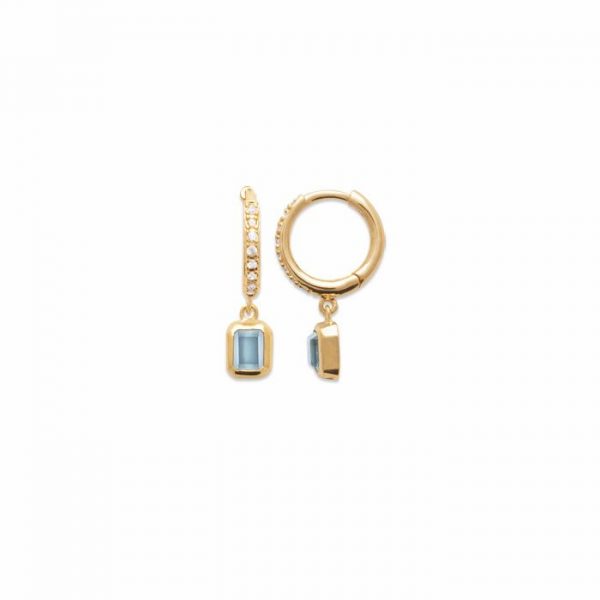 BURREN JEWELLERY CRYSTALLINE EARRINGS (E0991AQ)