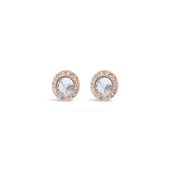 Absolute Rose Gold Earrings (E2100RS)