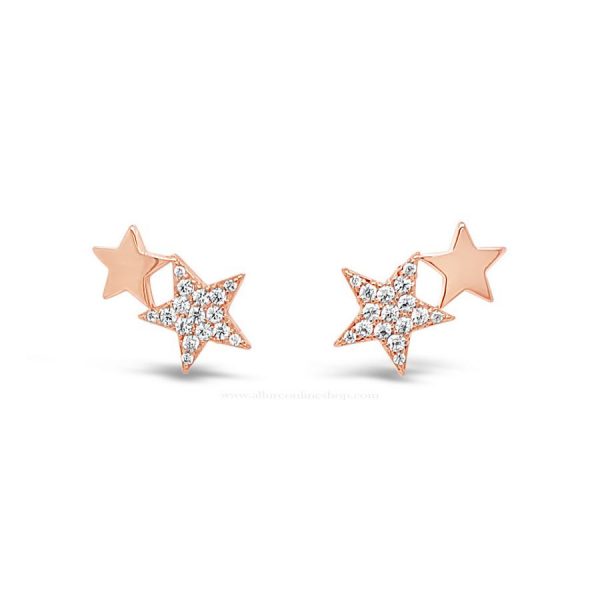 Absolute Rose Gold Earrings (E2130RS)