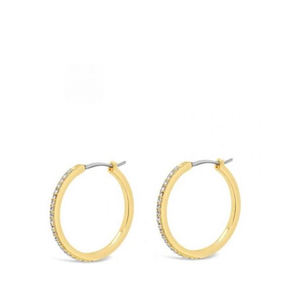 Absolute Gold Earrings (E2163GL)