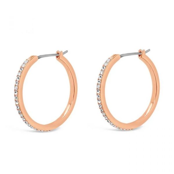 Absolute Rose Gold Earrings (E2163RS)