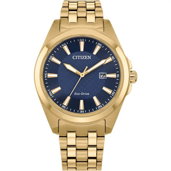 Citizen Men's Stainless Steel Gold Tone Watch (BM7532-54L)