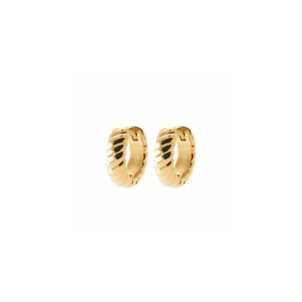 Burren Strong Bond Earrings (E1167)