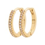 Burren Don't believe the Hype Earring (E0757)