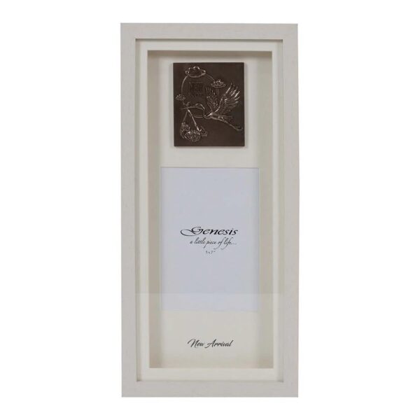 Genesis New Arrival frame (VV014)